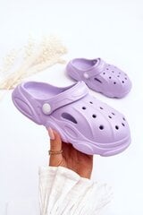 Klumpės vaikams WJ1 Crocs Violet Cloudy BSB26194.1287, violetinės kaina ir informacija | Guminės klumpės vaikams | pigu.lt