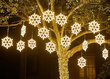 Kalėdinė LED dekoracija Snaigė Berimax cl3 neon, 50cm kaina ir informacija | Kalėdinės dekoracijos | pigu.lt