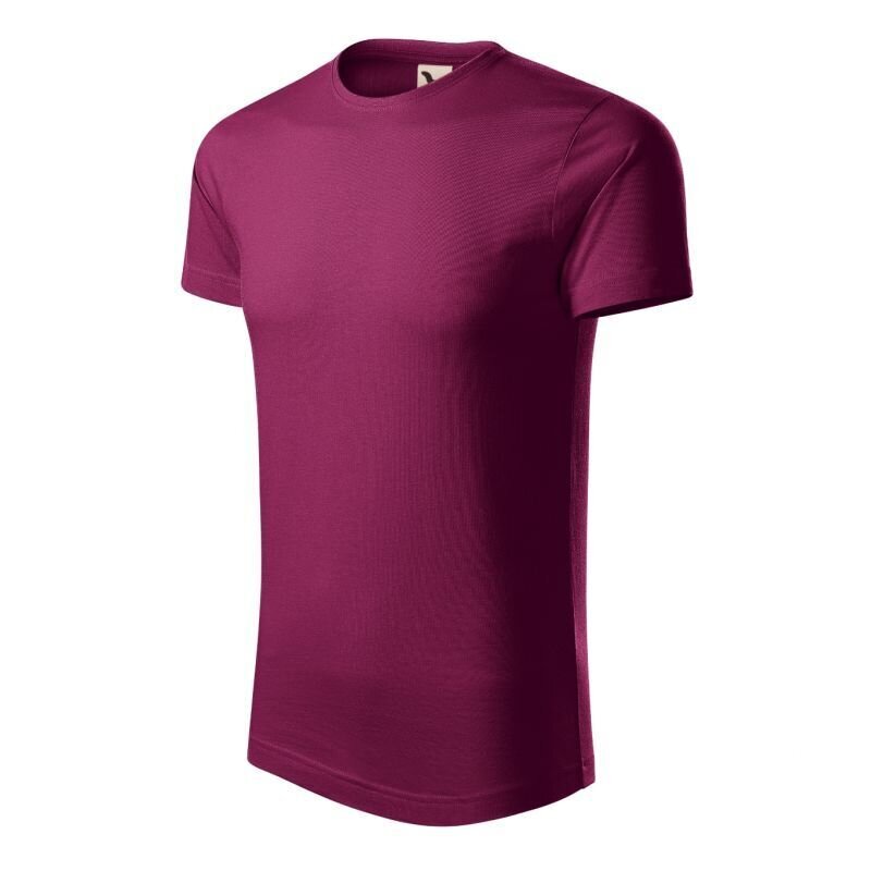 Marškinėliai vyrams Malfini SW981579.1898, raudoni kaina ir informacija | Vyriški marškinėliai | pigu.lt