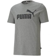Marškinėliai vyrams Puma SW714808.5654, pilki цена и информация | Футболка мужская | pigu.lt