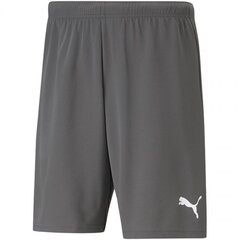 Puma šortai vyrams teamRise Short SW792400.8364, pilki цена и информация | Мужская спортивная одежда | pigu.lt