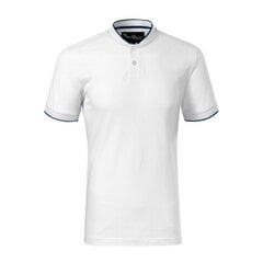 Marškinėliai vyrams Malfini SW984302.1898, balti цена и информация | Футболка мужская | pigu.lt