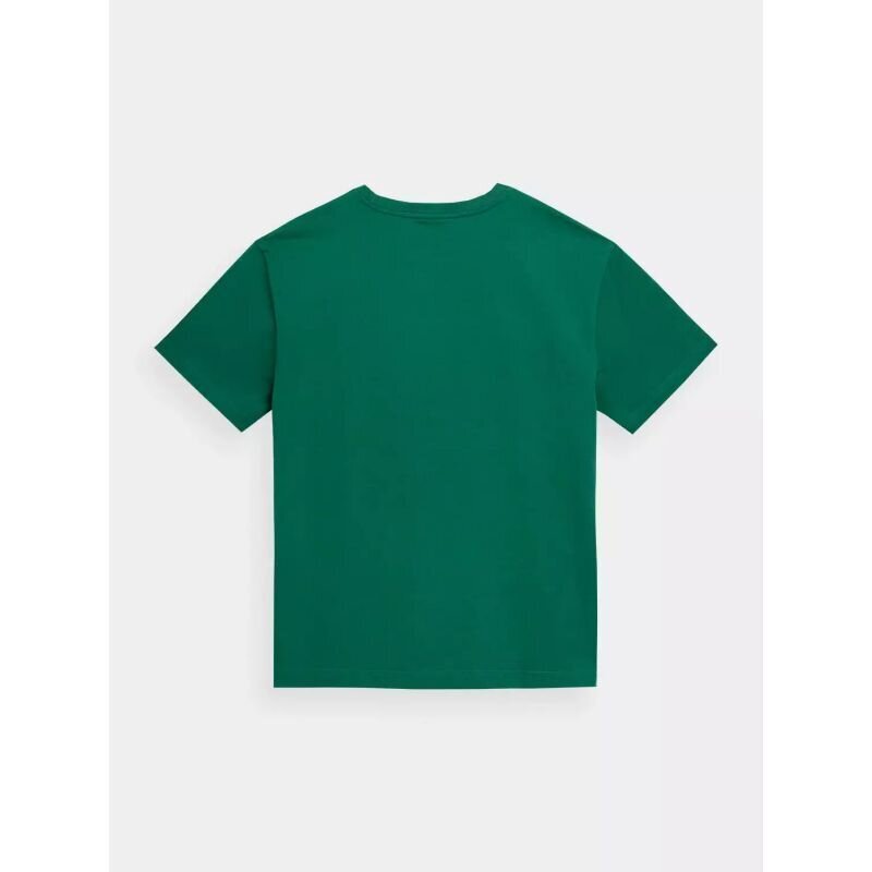 Marškinėliai vyrams Outhorn OTHSS23TTSHM450-40S, žali цена и информация | Vyriški marškinėliai | pigu.lt