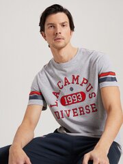 Marškinėliai vyrams Diverse AMD122499.1904, pilki kaina ir informacija | Vyriški marškinėliai | pigu.lt