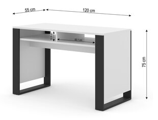 Rašomasis stalas Mondi, 120x55x75 cm, baltas kaina ir informacija | Kompiuteriniai, rašomieji stalai | pigu.lt