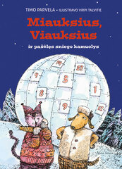 Miauksius, Viauksius ir pašėlęs sniego kamuolys цена и информация | Книги для детей | pigu.lt