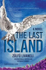 Last Island: A Novel цена и информация | Фантастика, фэнтези | pigu.lt