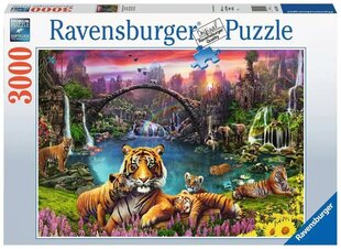 Dėlionė Ravensburger Tigrai rojuje, 3000 d. kaina ir informacija | Dėlionės (puzzle) | pigu.lt