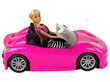 Lėlės ir automobilio rinkinys, rožinis kaina ir informacija | Žaislai mergaitėms | pigu.lt