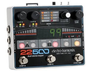 Звукозаписывающее устройство Electro-Harmonix 22500 Looper цена и информация | Принадлежности для музыкальных инструментов | pigu.lt