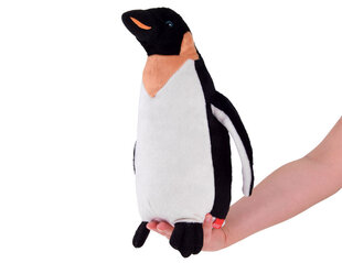 Плюшевая игрушка пингвин, 30 см цена и информация | Мягкие игрушки | pigu.lt