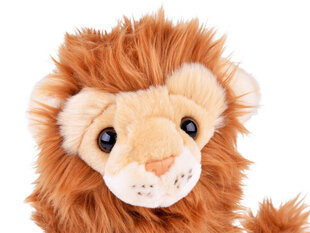 Плюшевая игрушка лев, 20 см цена и информация | Мягкие игрушки | pigu.lt