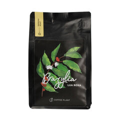 Coffee Plant Brazilian Lua Roxa malta kava, 250g kaina ir informacija | Kava, kakava | pigu.lt