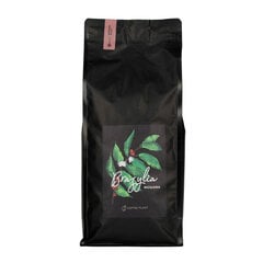 Coffee Plant Mogiana malta kava, 1 kg kaina ir informacija | Kava, kakava | pigu.lt