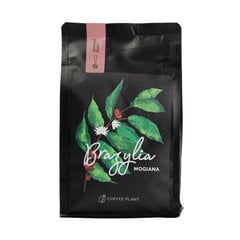 Coffee Plant Brazilian Mogiana malta kava, 250g kaina ir informacija | Kava, kakava | pigu.lt