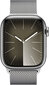 Apple Watch Series 9 41mm Silver цена и информация | Išmanieji laikrodžiai (smartwatch) | pigu.lt