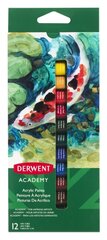 Akriliniai dažai Derwent Academy 12 spalvų kaina ir informacija | Piešimo, tapybos, lipdymo reikmenys | pigu.lt