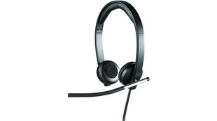 Logitech H650e 981-000519 цена и информация | Наушники | pigu.lt