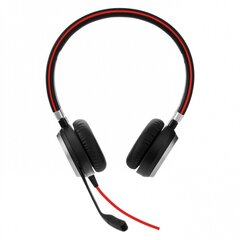 Jabra Evolve 40 kaina ir informacija | Ausinės | pigu.lt