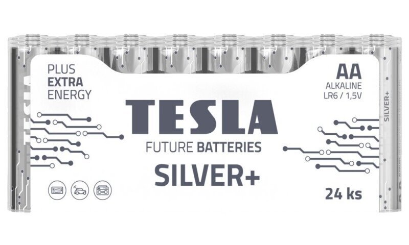 Baterijos Tesla 2600 mAh 24 vnt kaina ir informacija | Elementai | pigu.lt