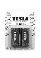 Baterijos Tesla 2 vnt kaina ir informacija | Elementai | pigu.lt