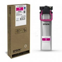 Epson XL C13T945340 kaina ir informacija | Kasetės lazeriniams spausdintuvams | pigu.lt