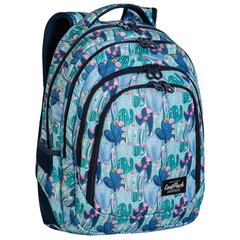 Kuprinė CoolPack Drafter Arizona цена и информация | Школьные рюкзаки, спортивные сумки | pigu.lt