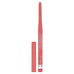 Rimmel London Exaggerate карандаш для губ 0,25 г, 105 Under My Spell цена и информация | Помады, бальзамы, блеск для губ | pigu.lt