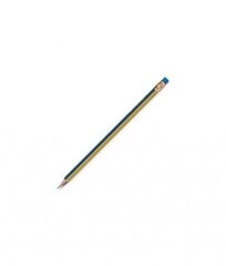 Pieštukas Forpus su trintuku kaina ir informacija | Rašymo priemonės | pigu.lt