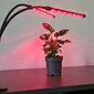 Berimax 40 LED kaina ir informacija | Daigyklos, lempos augalams | pigu.lt