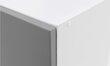 Pakabinama spintelė Liveo Tiffany T2/G30, 30 cm, pilka kaina ir informacija | Virtuvinės spintelės | pigu.lt