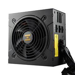 FSP Hydro GT PRO (HGT-1000W) цена и информация | Блоки питания (PSU) | pigu.lt