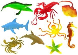 Vandenyno jūrų gyvūnų figūrėlių rinkinys Lean Toys, 9 vnt. kaina ir informacija | Žaislai mergaitėms | pigu.lt