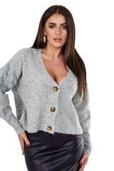 Swetry 26502 цена и информация | Свитера женские | pigu.lt