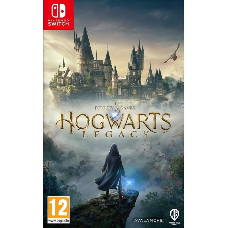 Hogwarts Legacy Switch цена и информация | Kompiuteriniai žaidimai | pigu.lt