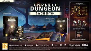 Компьютерная игра Endless Dungeon (Day One Edition) для Xbox Series X / Xbox One цена и информация | Компьютерные игры | pigu.lt