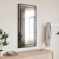 Veidrodis vidaXL, 50x100 cm, juodas цена и информация | Зеркала | pigu.lt