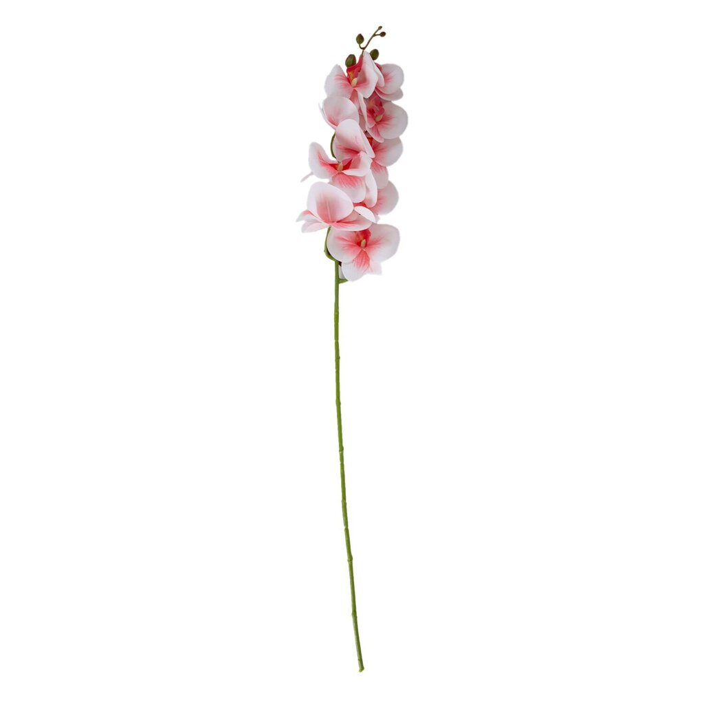 Dirbtinė gėlė Magnolija kaina ir informacija | Dirbtinės gėlės | pigu.lt