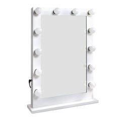 Вращающиеся светодиодные светильники для зеркала, 2 шт. цена и информация | Монтируемые светильники, светодиодные панели | pigu.lt
