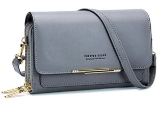 Маленькая женская сумочка А54, серая цена и информация | Женские сумки | pigu.lt