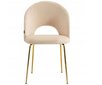 2 kėdžių komplektas, Viking, Megan, smėlio spalvos kaina ir informacija | Virtuvės ir valgomojo kėdės | pigu.lt