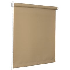 Roletas Midi Bojanek 55x150cm цена и информация | Рулонные шторы | pigu.lt