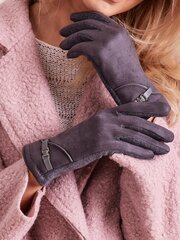 Перчатки для сенсорных экранов цена и информация | Женские перчатки | pigu.lt