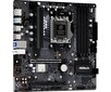 ASRock B650M PG Lightning WiFi kaina ir informacija | Pagrindinės plokštės | pigu.lt