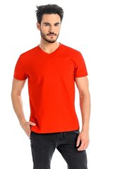Marškinėliai vyrams Teyla LKK182985.1901, raudoni kaina ir informacija | Vyriški marškinėliai | pigu.lt