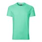 Marškinėliai vyrams Rimeck SW909915.1898, žali kaina ir informacija | Vyriški marškinėliai | pigu.lt