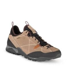 Sportiniai batai vyrams Aku Nativa GTX SW9294542684, smėlio spalvos kaina ir informacija | Kedai vyrams | pigu.lt
