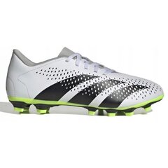 Sportiniai batai vyrams Adidas Predator Accuracy.4 FxG SW991038.8209, balti kaina ir informacija | Kedai vyrams | pigu.lt