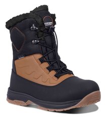 Детские сапоги Icepeak Alofi 72268-4*155 6438549191059, коричневые/черные цена и информация | Детские зимние сапожки | pigu.lt