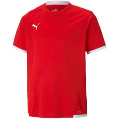 Puma marškinėliai berniukams Teamliga SW989507.8368, raudoni цена и информация | Рубашка для мальчиков | pigu.lt